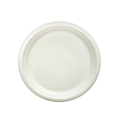 10in Round Plate, Bagasse, Large size